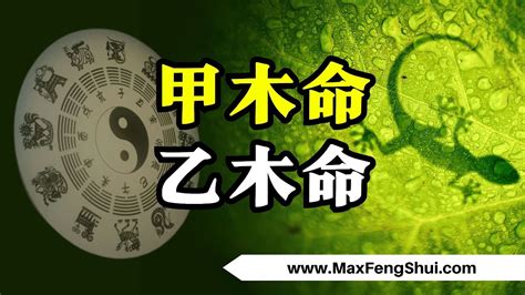 甲木怎麼算|甲木命是怎么算出来的？解析八字中的甲木命理